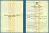 Стоимость Свидетельства о Повышении Квалификации 1997-2018 г. в Мытищах и Московской области